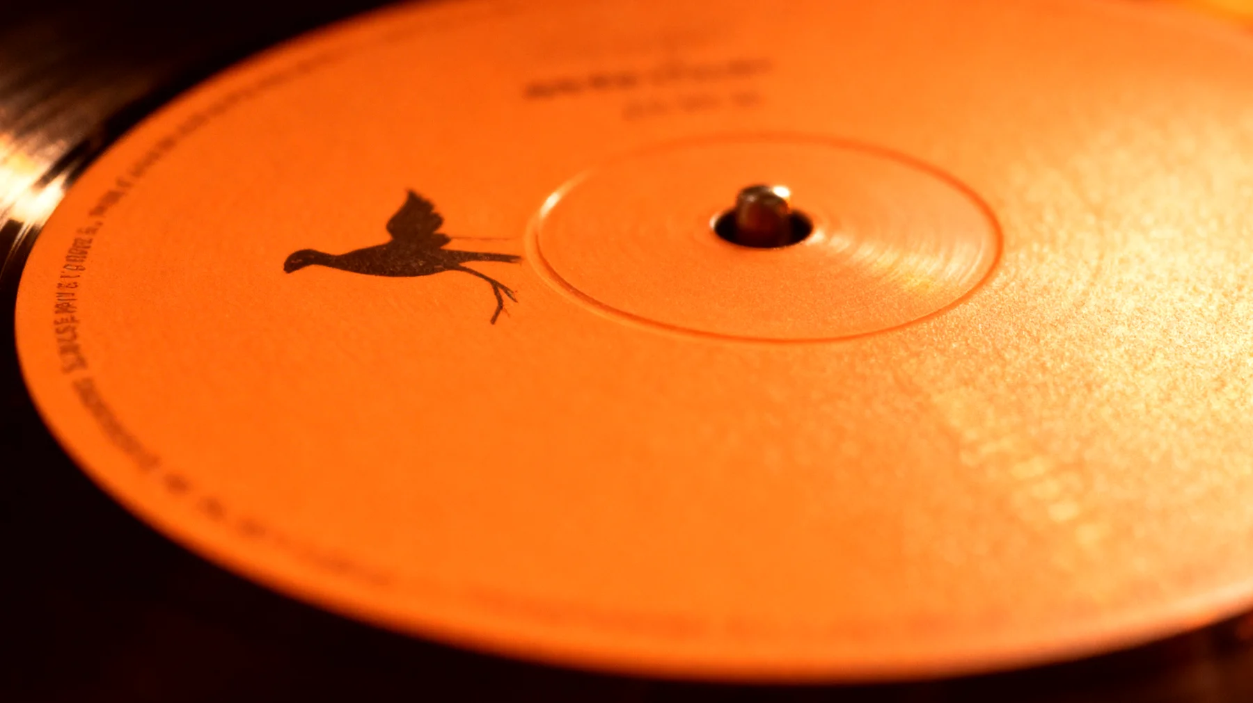 Forbidden Fruit2026-02-13T18:50:37.108Z"