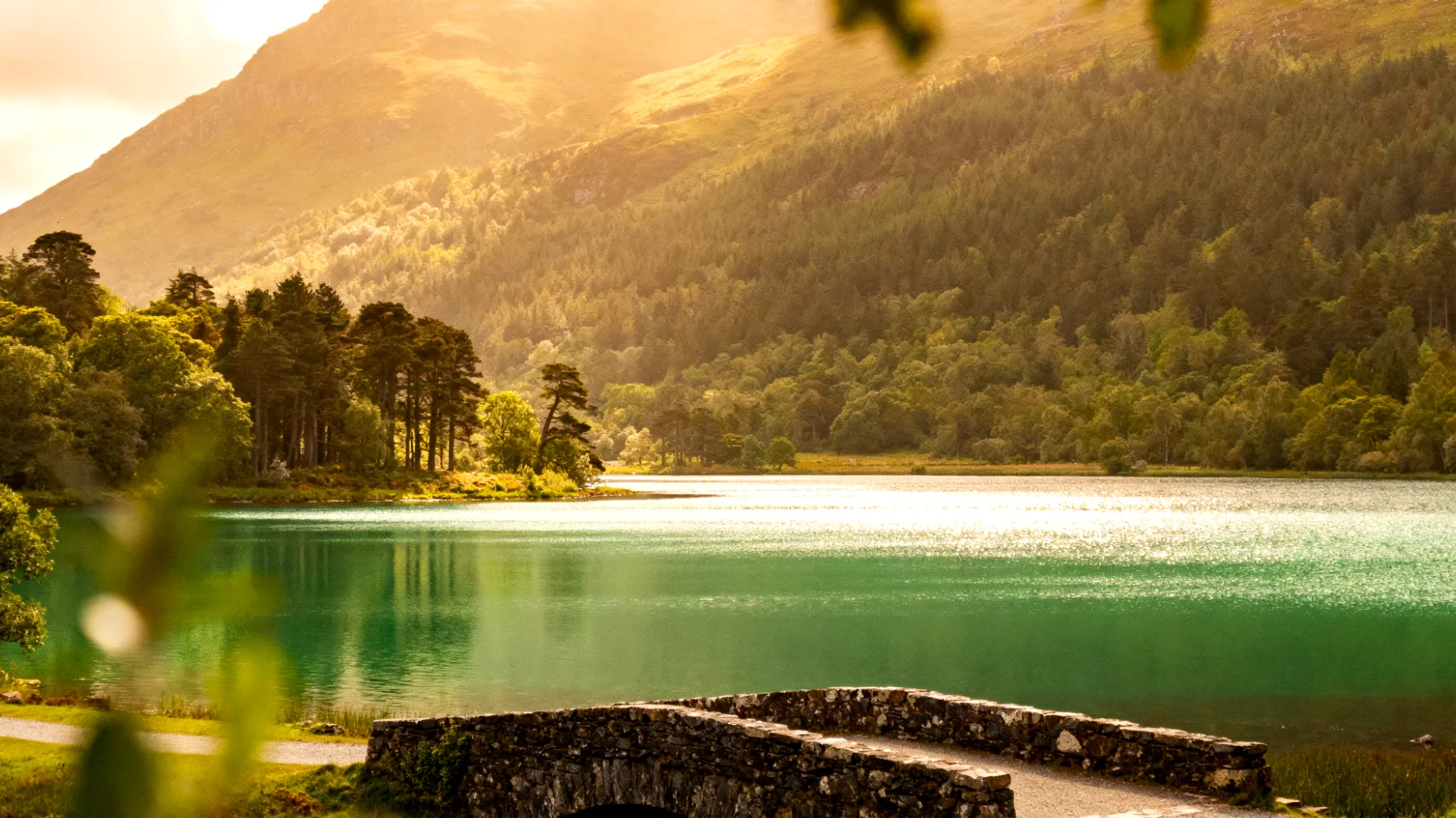 Killarney National Park"